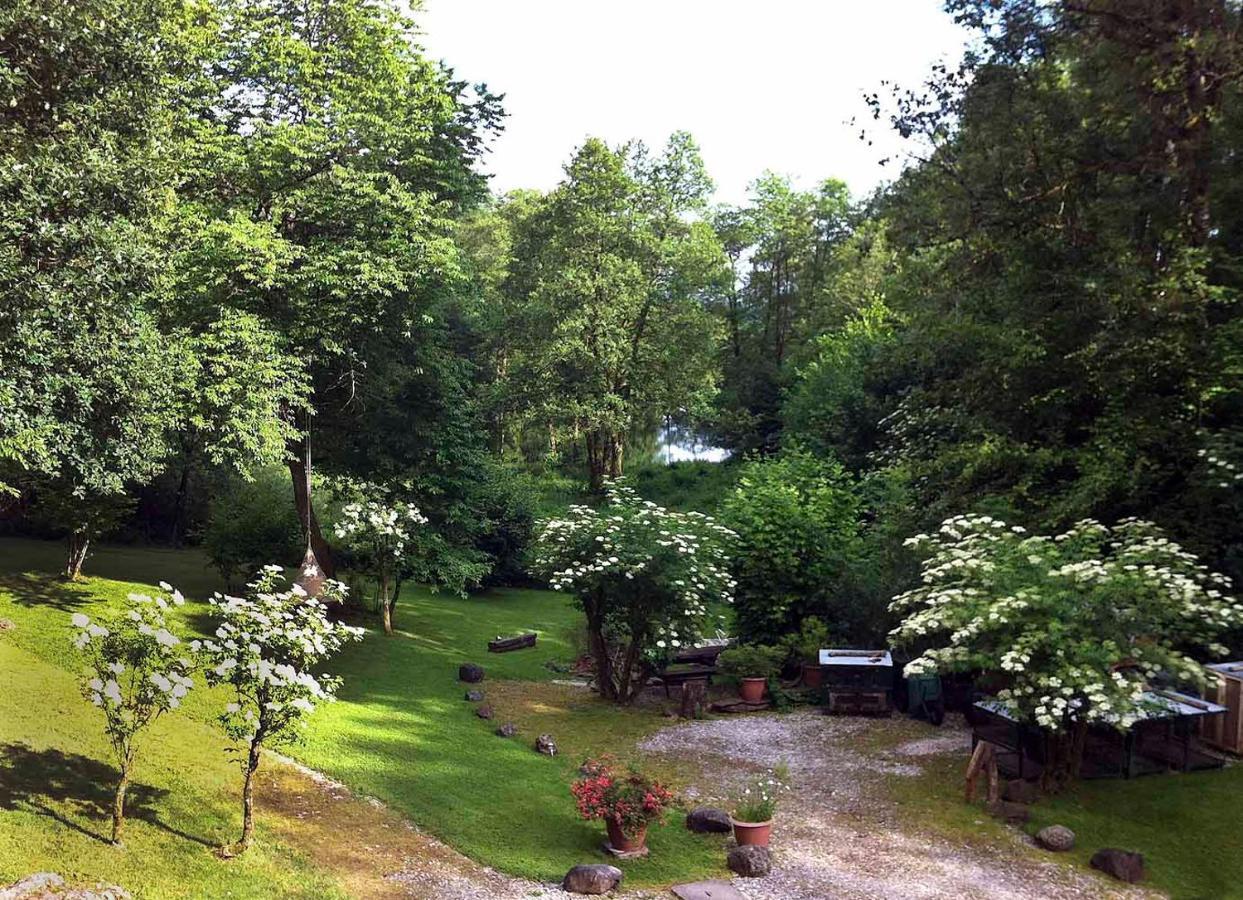 Pas De Deux Bed and Breakfast Sainte-Marie-en-Chanois Exteriör bild